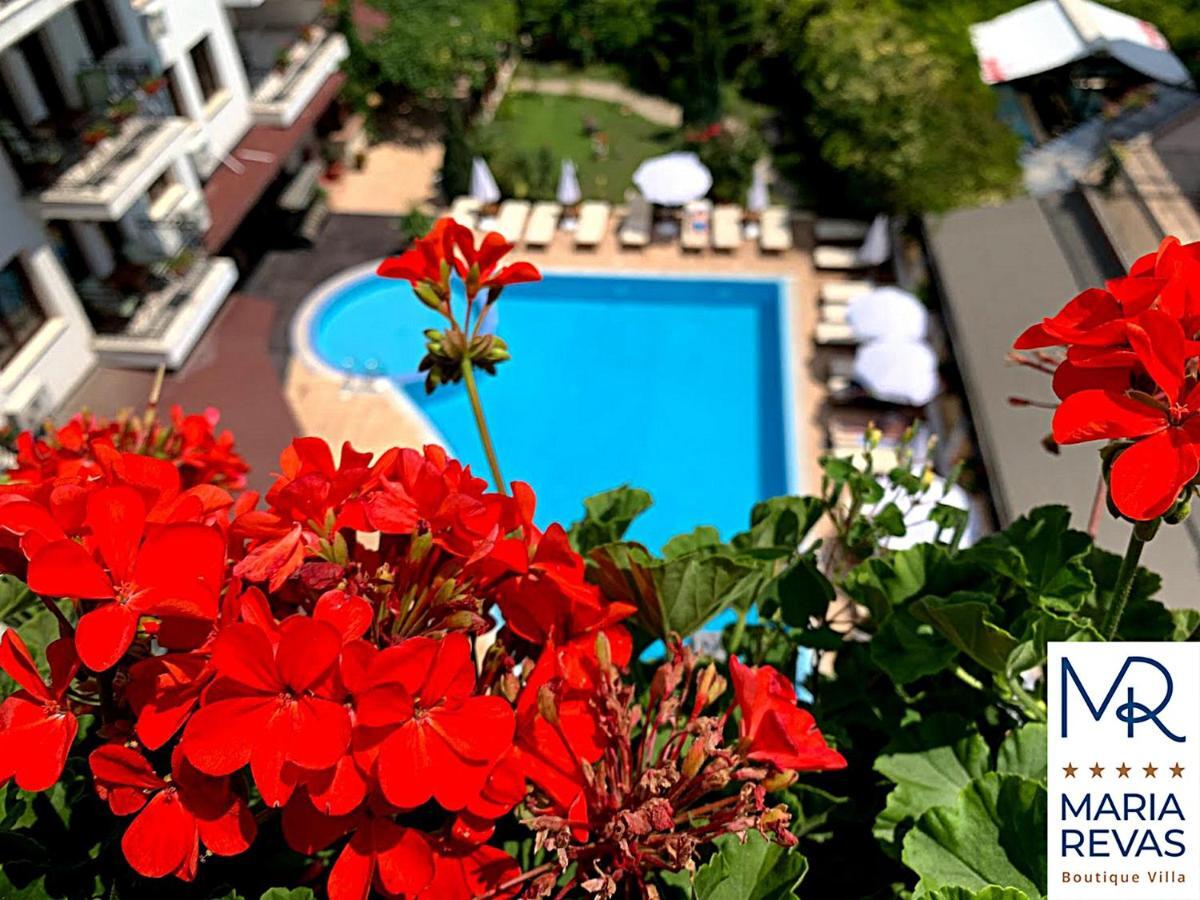 Villa Maria Revas Sunny Beach Eksteriør billede